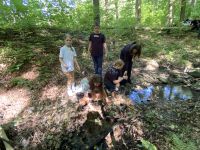 Waldtag_20